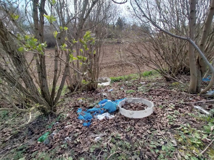 Akcja sprzątania wsi Łazieniec i okolicznych terenów...