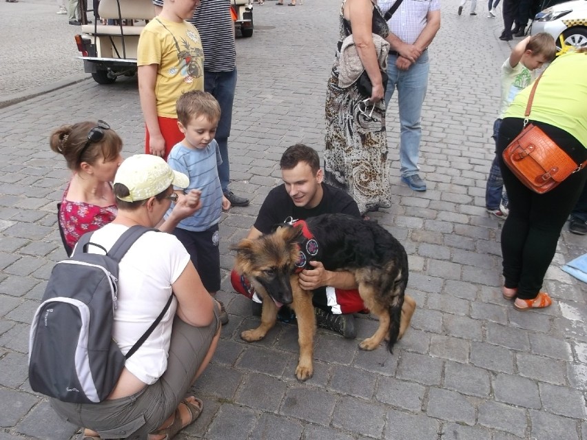 Korowód nadziei i piknik ze strażą miejską (ZDJĘCIA)