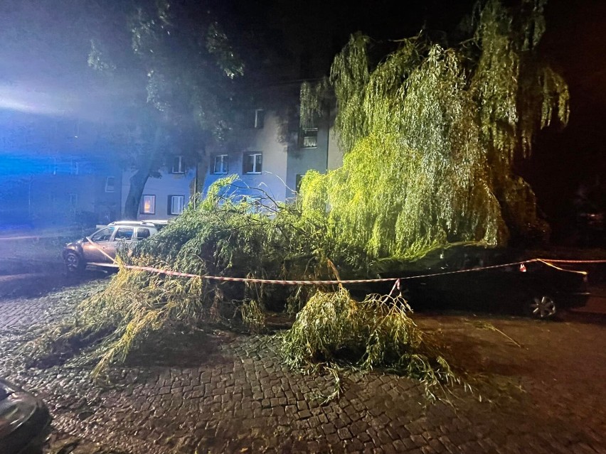 Oto skutki nocnej nawałnicy w Gliwicach! - ZDJĘCIA. Połamane drzewa, przygniecione samochody, zablokowane drogi....