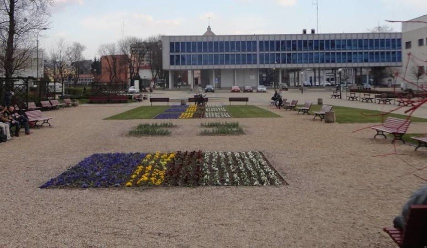 Na Placu Chopina w Puławach posadzono kwiaty w kolorach...