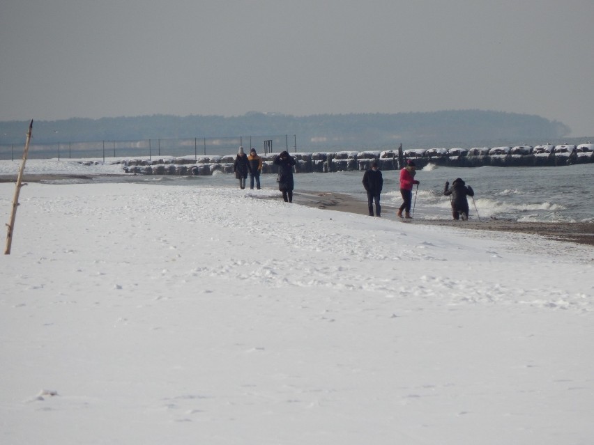 Zimowe spacery nad morzem