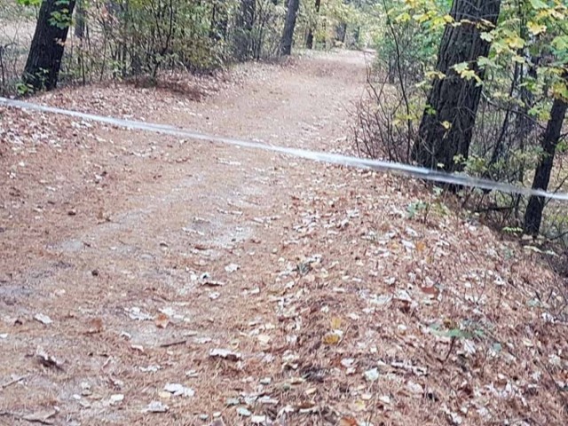 O niebezpiecznym zdarzeniu poinformował nas Czytelnik. Foliową linkę zauważył na ścieżce dla rowerzystów i biegaczy w lesie w Jędrzychowie. – To był bardzo mocne tworzywo – ostrzega Czytelnik.

Linka został rozciągnięta na ścieżce leśnej od ul. Konwaliowej. – Około 700 m od wejścia na leśną ścieżkę licząc od szlabanu – pisze nasz Czytelnik.

Jak informuje autor zdjęć, nad ścieżką ktoś rozciągnął linkę z tworzywa sztucznego. – To była bardzo mocna folia, po rozciągnięciu robiła się jak guma, ale ciężko było ją rozerwać – informuje Czytelnik.

Ktoś zrobił o celowo. Gdyby w taką linkę wjechał rozpędzony rowerzysta mogłoby dojść do tragedii. – Brak słów na tak bezmyślne działanie – pisze autor zdjęć.

Zobacz też wideo: 20-letni kierowca wypadł z drogi i uderzył w wejście do zajazdu. Gdyby byli tam ludzie, mogło dojść do tragedii


