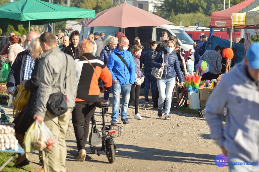 Pchli Targ we Włocławku - 5 września 2021