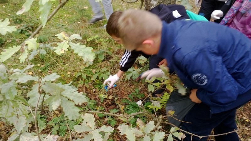 Dzieci z podstawówki w Dąbkach wzięły udział w akcji...