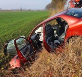 Gm. Nowy Staw. Wypadek w Świerkach [ZDJĘCIA]. Samochód osobowy uderzył w drzewo