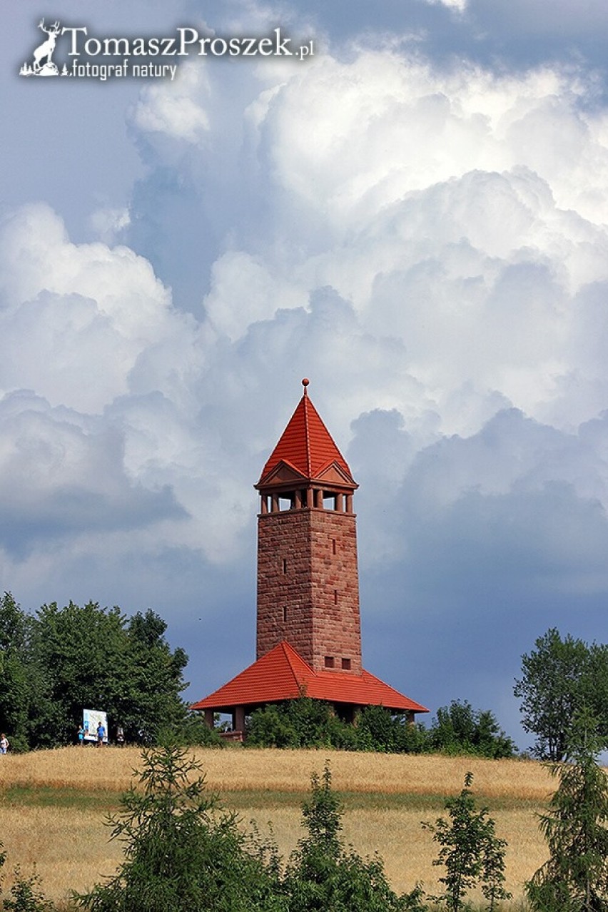 Wieża widokowa na górze św. Anny