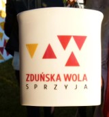 Zduńska Wola ma nowe logo i markę [zdjęcia]