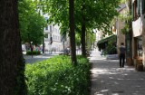 Zielone Polesie: Ulice Ogrody na Starym Polesiu w Łodzi