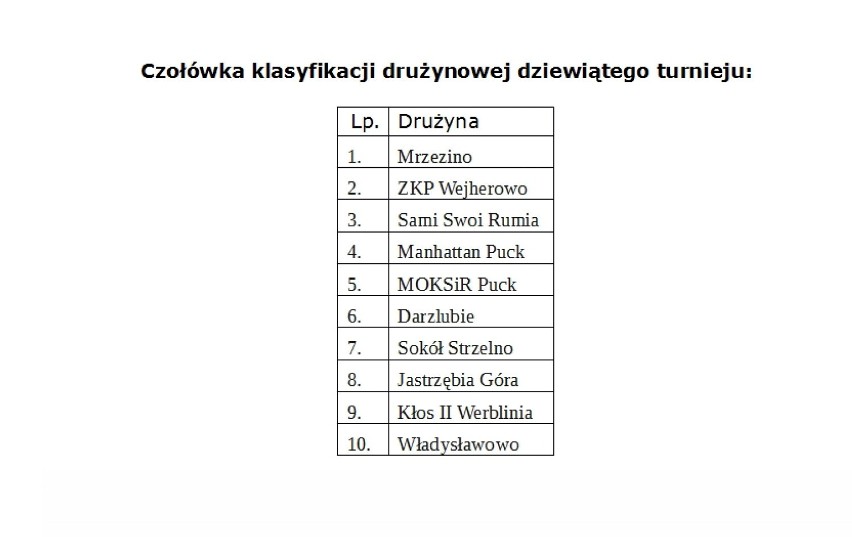 Liga Skata Sportowego Ziemi Puckiej