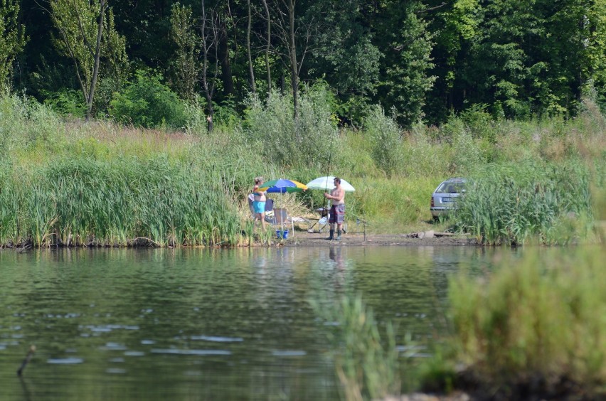 Bytom : Brantka i wędkarze. Czy jest szansa, aby pozwolili na plażowanie?