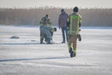 Z Zatoki Puckiej zebrali ok. 200 martwych łabędzi. Ale padło znacznie więcej ptaków. Potwierdzili nowe przypadki ptasiej grypy | FOT, WIDEO