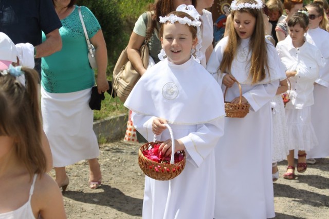 Boże Ciało w Puławach

Boże Ciało w Puławach podobnie jak w innych miastach upływa pod znakiem procesji. My towarzyszyliśmy tej, która odbyła się w parafii p.w. Św. Rodziny na osiedlu Niwa.