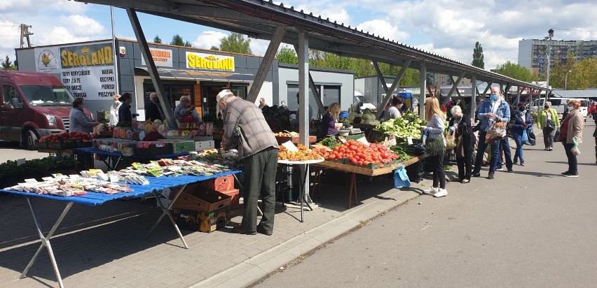 Niespodzianki na targowisku. Jakie ceny warzyw i owoców na rynku w Bełchatowie [ZDJĘCIA]