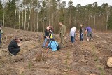Od przedszkola do seniora, sadzimy 500 mln drzew - akcja w Bieniszewie [ZDJĘCIA]