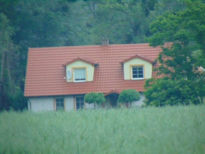 Miejscowości powiatu chodzieskiego. Grabówka w gminie Budzyń [ZDJĘCIA]