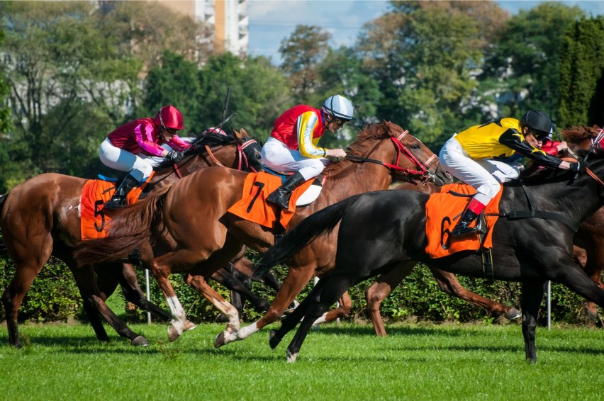 Gala Derby na Służewcu. Gonitwa ze 120-letnią tradycją już w...