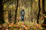 Nie jesteś pewny, czy grzyb, który zebrałeś jest jadalny? Wojewódzki sanepid oferuje porady ekspertów od grzybów