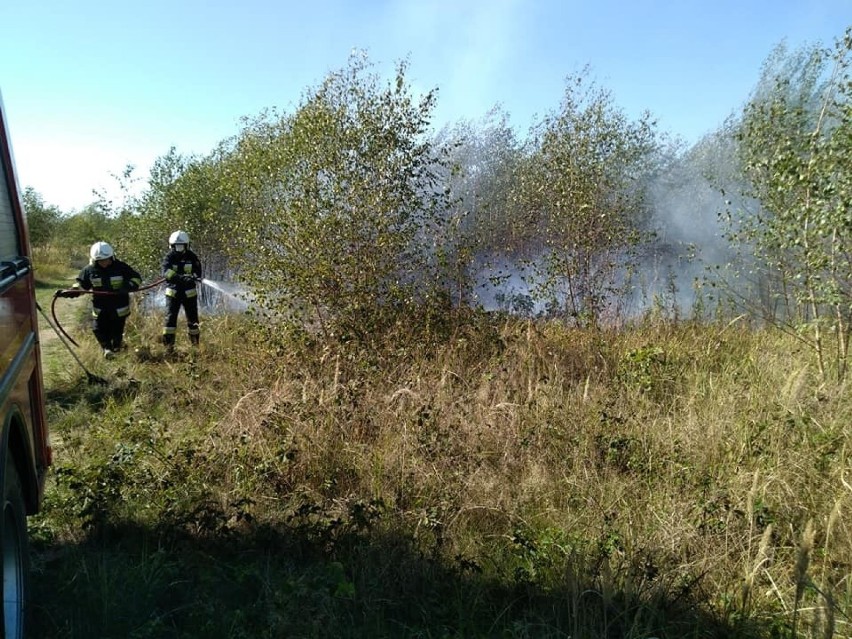 Pożar koło lotniska. Interweniowało kilka zastępów strażaków (ZDJĘCIA)