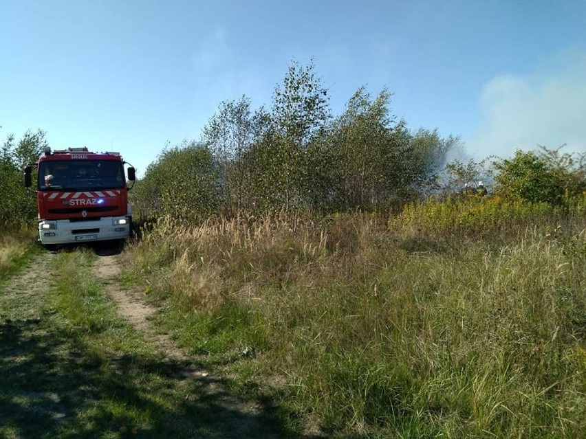 Pożar koło lotniska. Interweniowało kilka zastępów strażaków (ZDJĘCIA)