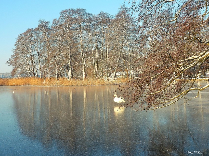 Arktyczna temperatura w Szczecinku. Wyż syberyjski pokazał kły [zdjęcia]