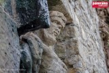 Odkrycie tajemniczych rzeźb na zamku Książ [ZDJĘCIA]