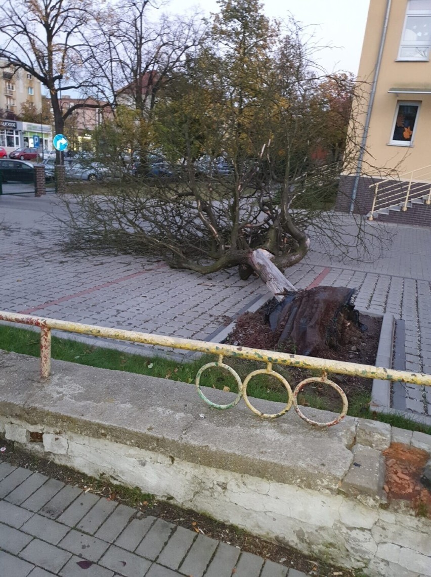 Kilka przykładów szkód, jakie wyrządziła wichura 21...