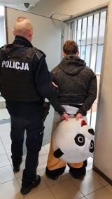 Zakopane. W policyjnym areszcie wylądował... agresywny "panda" z Krupówek 
