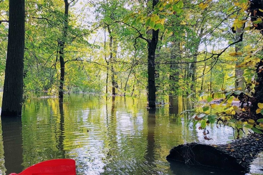 Sama nawigacja pomiędzy tym wszystkim, szukanie drogi do...