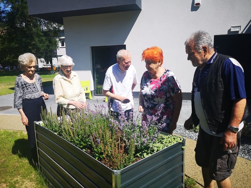 Dzienny Dom Pomocy w Oświęcimiu znów otwarty dla seniorów. Placówka wznowiła zajęcia po prawie czterech miesiącach [ZDJĘCIA]