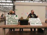 Libiąż. Stop wycince lasów. Rozdali 100 sadzonek drzew [ZDJĘCIA]