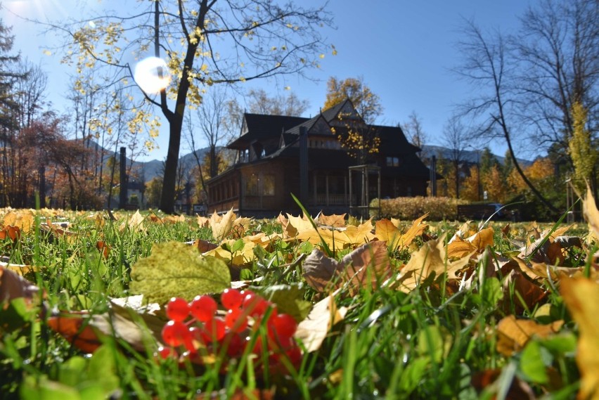 Złota jesień w Zakopanem. Jest wyjątkowo pięknie [ZDJĘCIA]