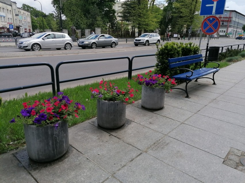 Kolorowe ławki w pasażu przy ul. św. Antoniego w Tomaszowie. Bardzo podobają się mieszkańcom [ZDJĘCIA]
