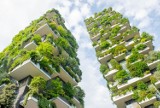 Polska inwestuje w ogrody deszczowe i zielone dachy. Tak nasze miasta walczą ze zmianami klimatycznymi. Trwa zielona rewolucja