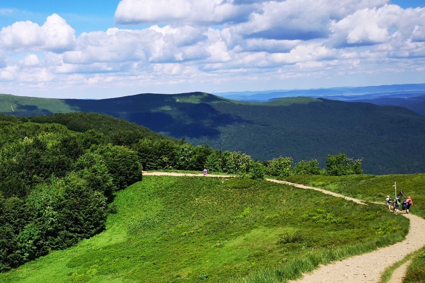 Bieszczady są wiecznie zielone. Długi weekend w obiektywie. Zobaczcie zdjęcia