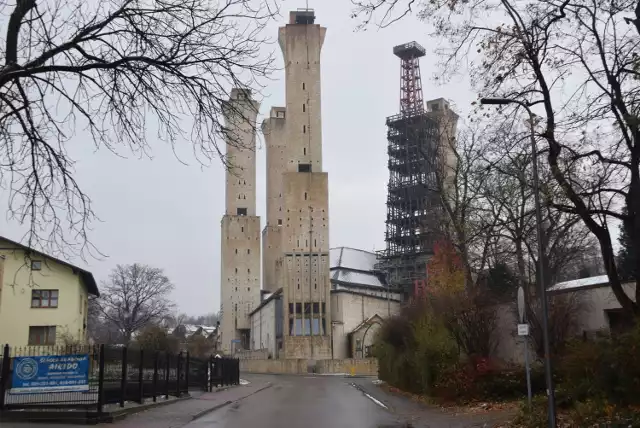 Mały asyż tychy - artykuły | Tychy Nasze Miasto