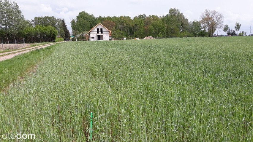 Powierzchnia: 938 m²
Cena: 55 tysięcy zł

OGŁOSZENIE