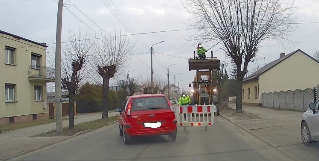 W taki sposób przycinano drzewa przy ulicy 1 Maja w Skarżysku - Kamiennej.