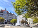 Biblioteka pod Atlantami zaprasza na Tydzień Bibliotek - zobaczcie program