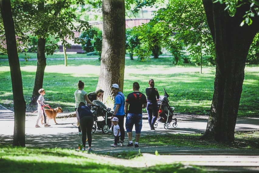 Park Kachla to jedno z ulubionych miejsc wypoczynku bytomian