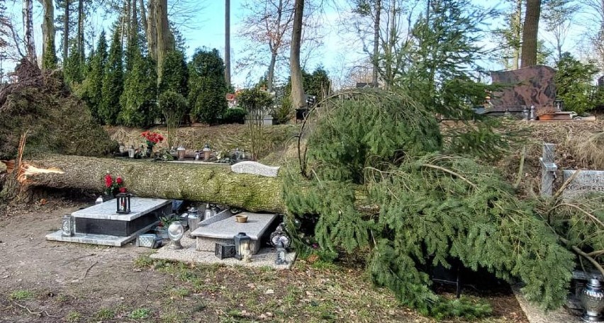 Cmentarz w Szczecinku nadal zamknięty. Ogromne ryzyko wypadku 