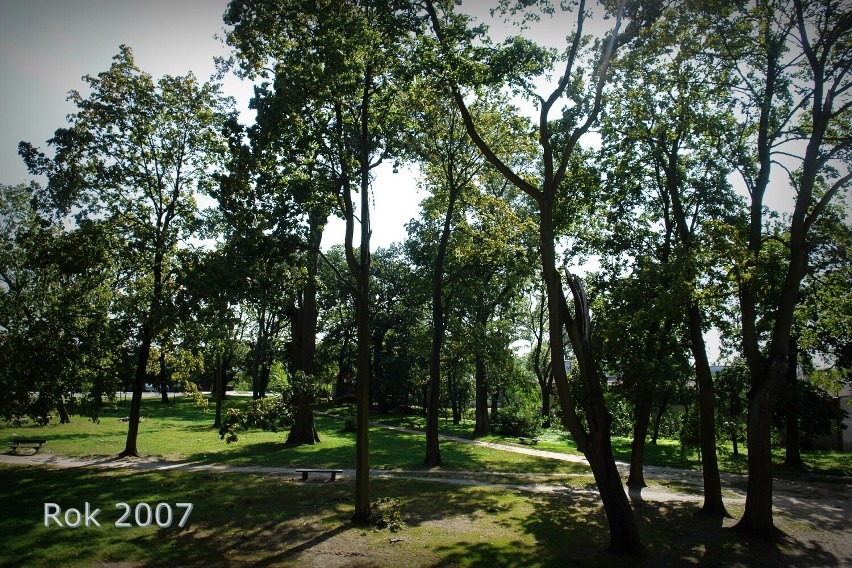 Odnowienie parku przy pałacu w Złoczewie. Urząd zdobył 1,6 mln zł dotacji na inwestycję. Zobacz jak zmieniało się to miejsce ZDJĘCIA