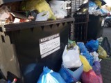 Nie będzie podwyżki za odbiór śmieci w Gorzowie i okolicy?