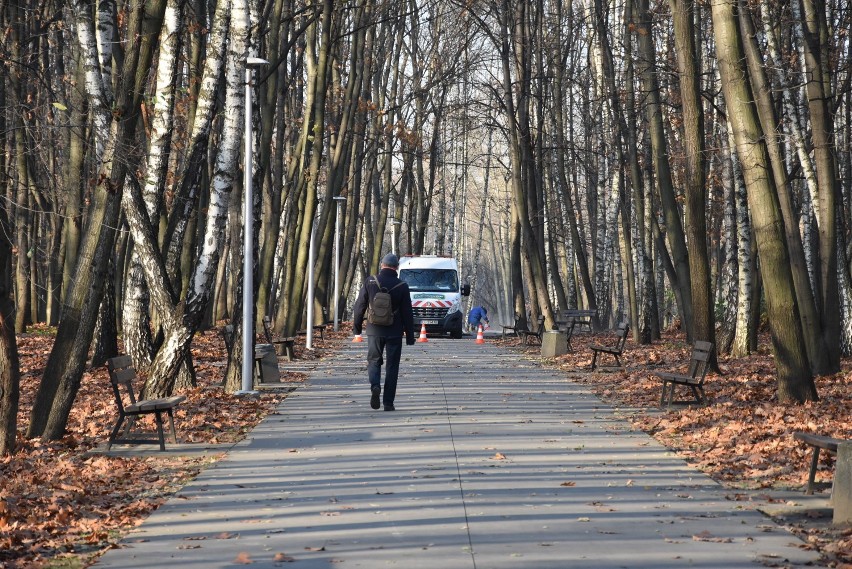 Tarnów. Przepiękna jesień w Parku na Piaskówce i w Parku Strzeleckim zachwyca barwami [ZDJĘCIA]