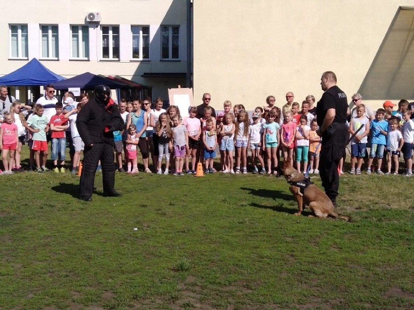 Akcja bezpieczne wakacje w powiecie aleksandrowskim [zdjęcia]