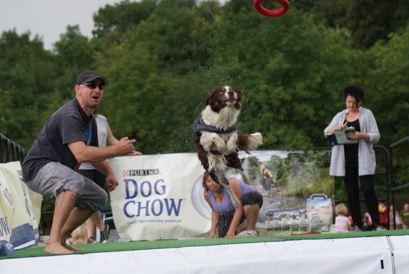 Dog Diving na poznańskiej Cytadeli [ZDJĘCIA, WIDEO]