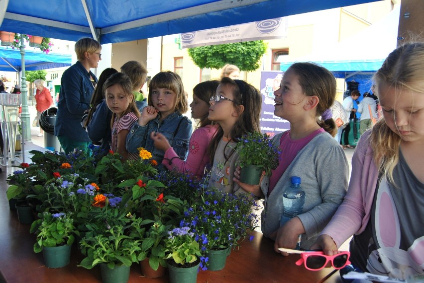 Grodzisk. Happening ekologiczny 