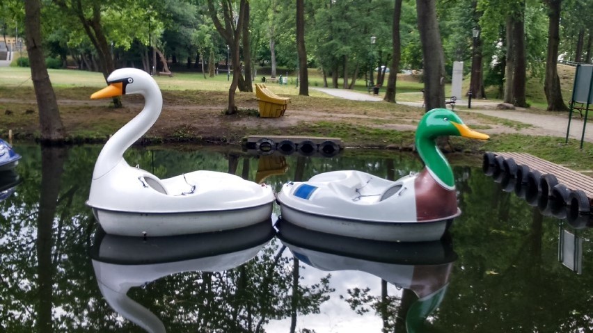 Nowe rowery wodne w parku w Wejherowie