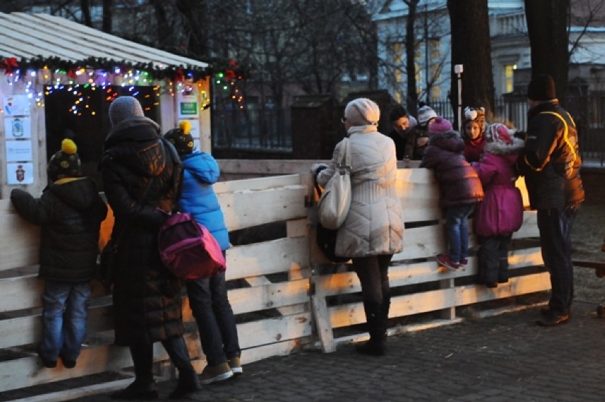 Szopki Bożonarodzeniowe w Warszawie 2013