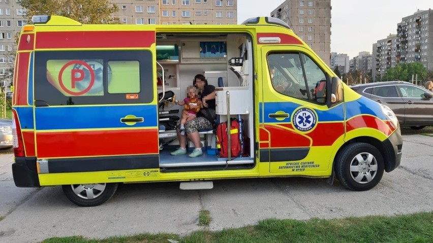 Potrącenie podczas Święta Kolorów w Opolu. 9-latka trafiła do szpitala