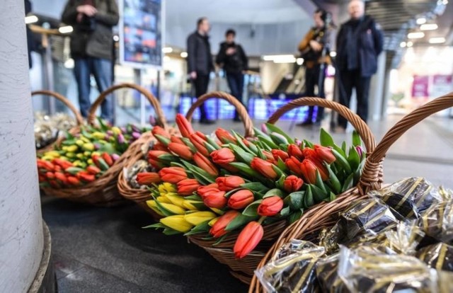 Chociaż za oknem wiosny specjalnie nie widać, dziś zawita ona do klientów Lidla. Sklep organizuje 16 kwietnia promocję kwiatów od polskich producentów. Klienci będą mogli wyjść ze sklepu z darmowym bukietem tulipanów. Co trzeba zrobić, by go dostać?

Czytaj dalej. Przesuwaj zdjęcia w prawo - naciśnij strzałkę lub przycisk NASTĘPNE